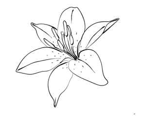 Five star client review for Pilates on the Prairie