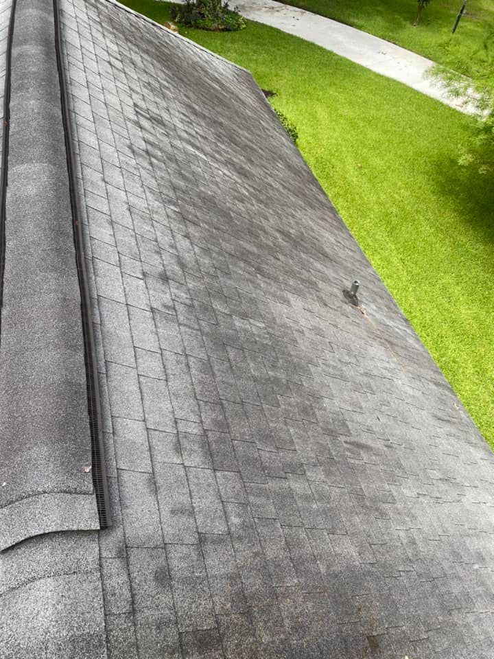 Before Roof Cleaning | Savannah, GA | Reed Home Services