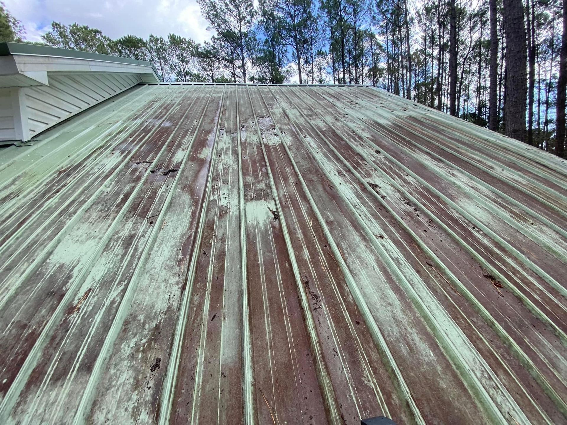 Before Roof Power Wash | Savannah, GA | Reed Home Services