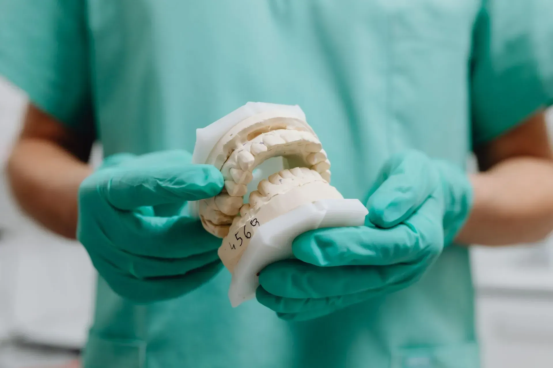 A dentist is holding a model of a tooth in his hands.