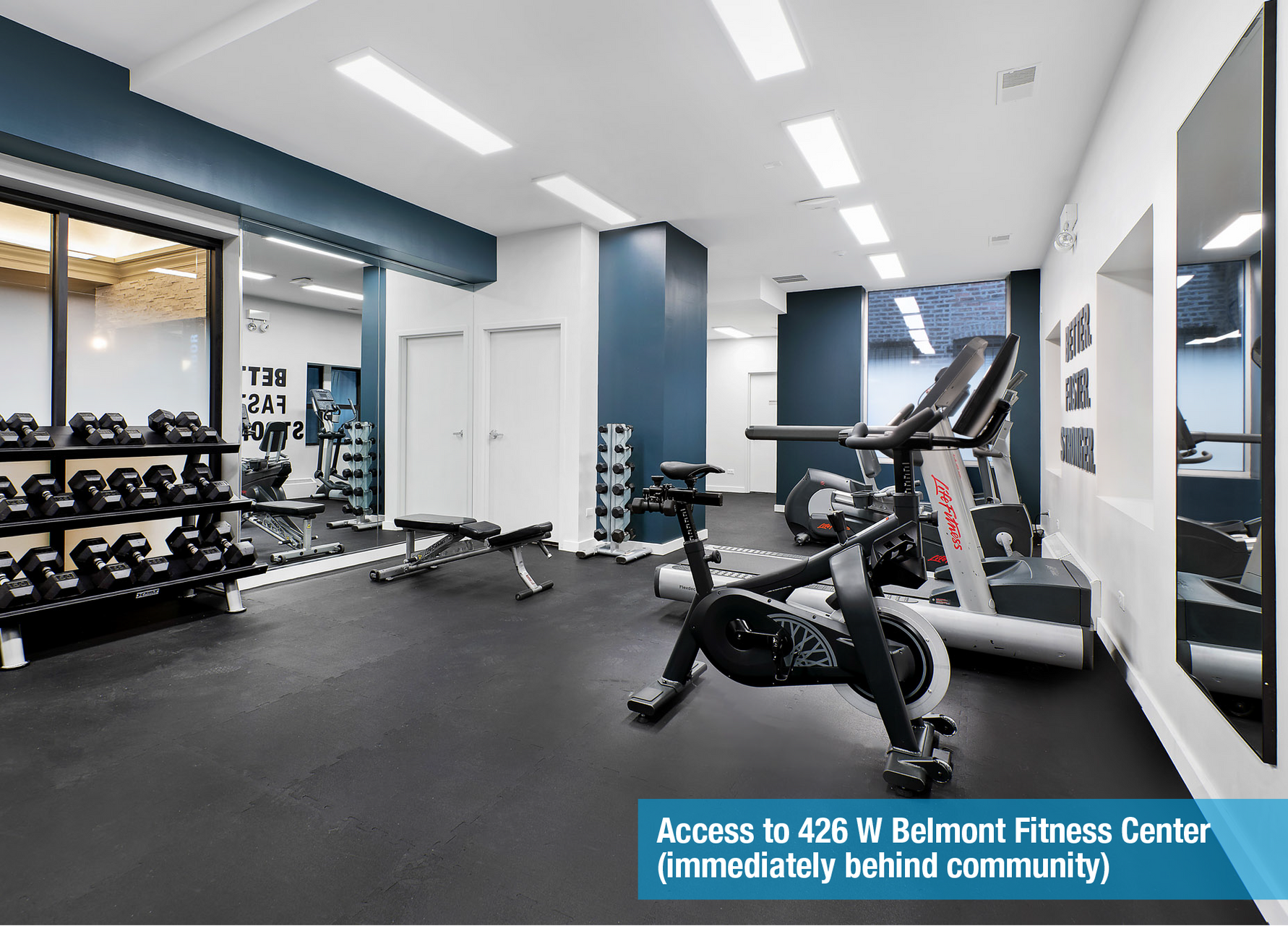 A gym with a bike, treadmill, dumbbells and mirrors.