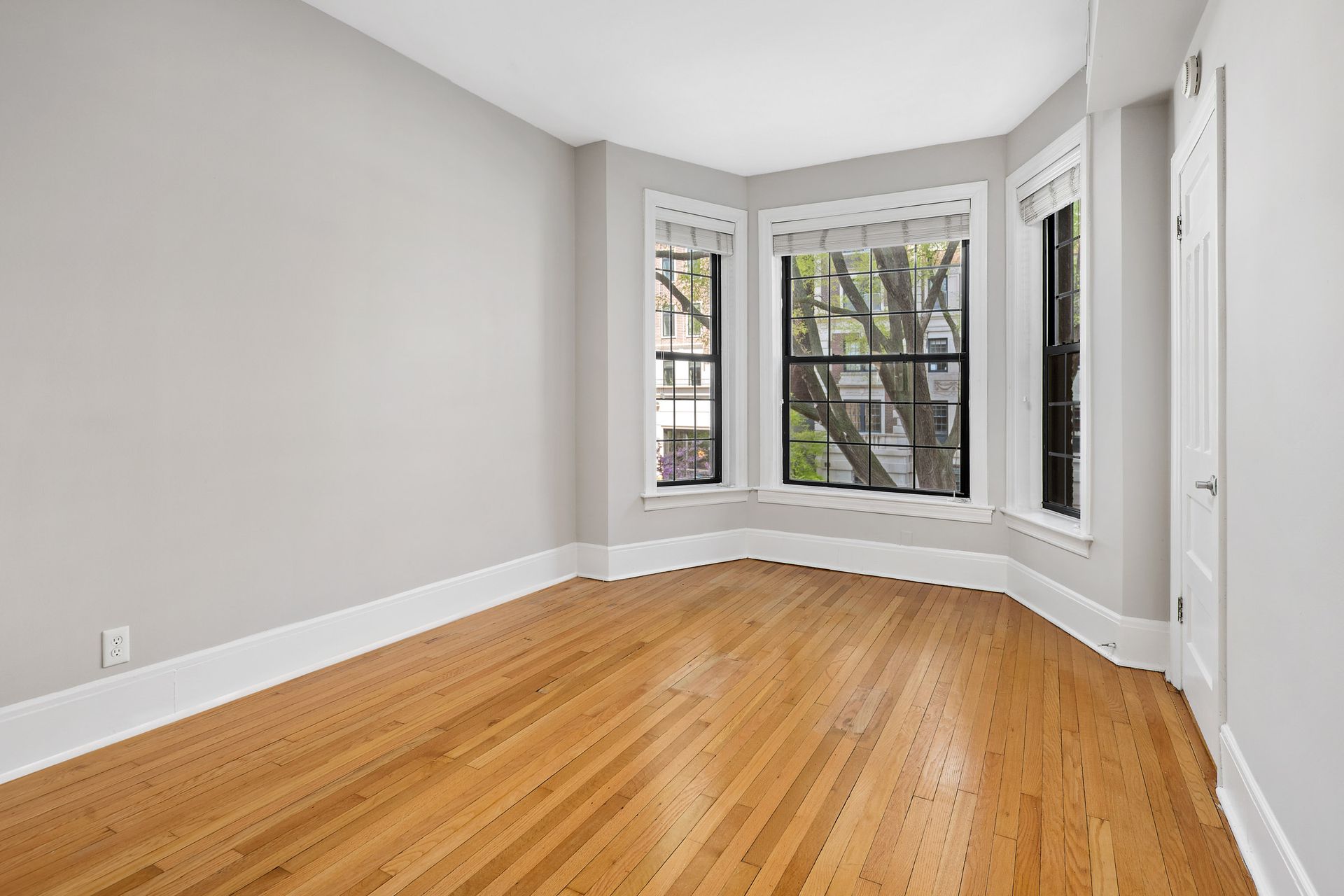 An empty room with hardwood floors and two windows at 429 W Melrose Street.