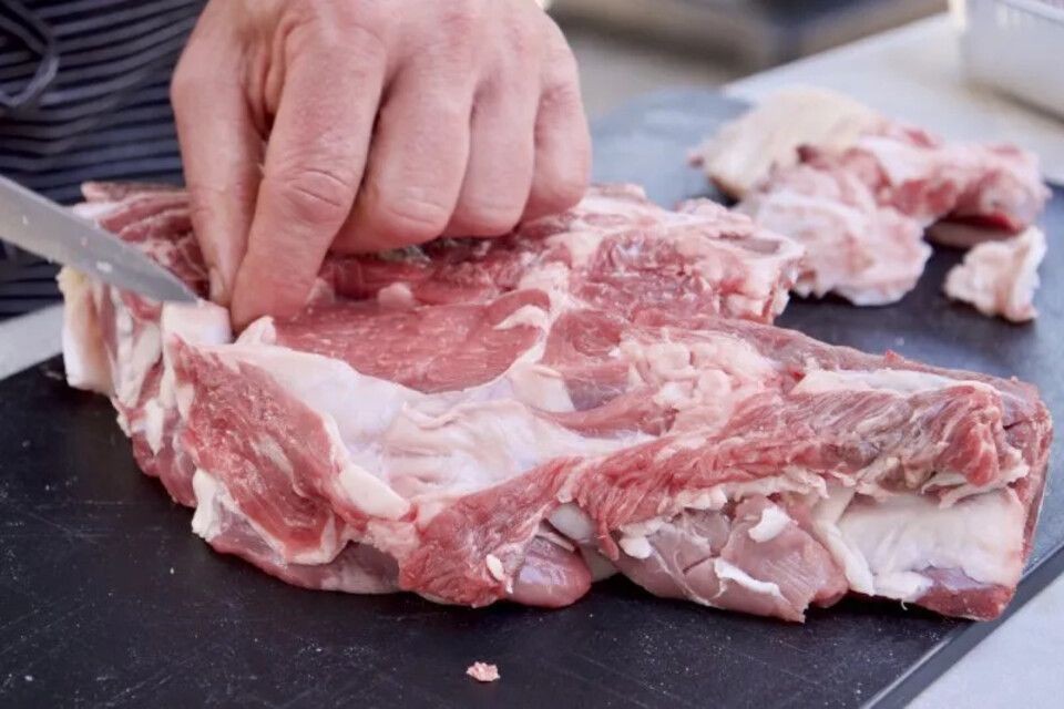 vendita forni e barbecue a Reggio Emilia