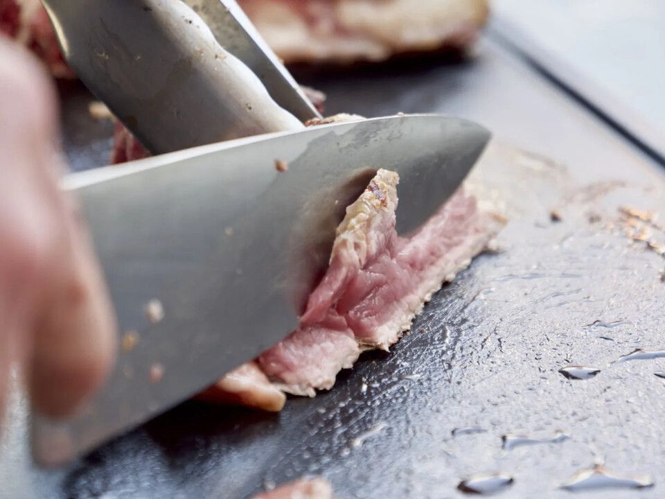 vendita di forni e barbecue Reggio Emilia