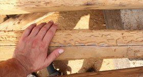 Timber treatments