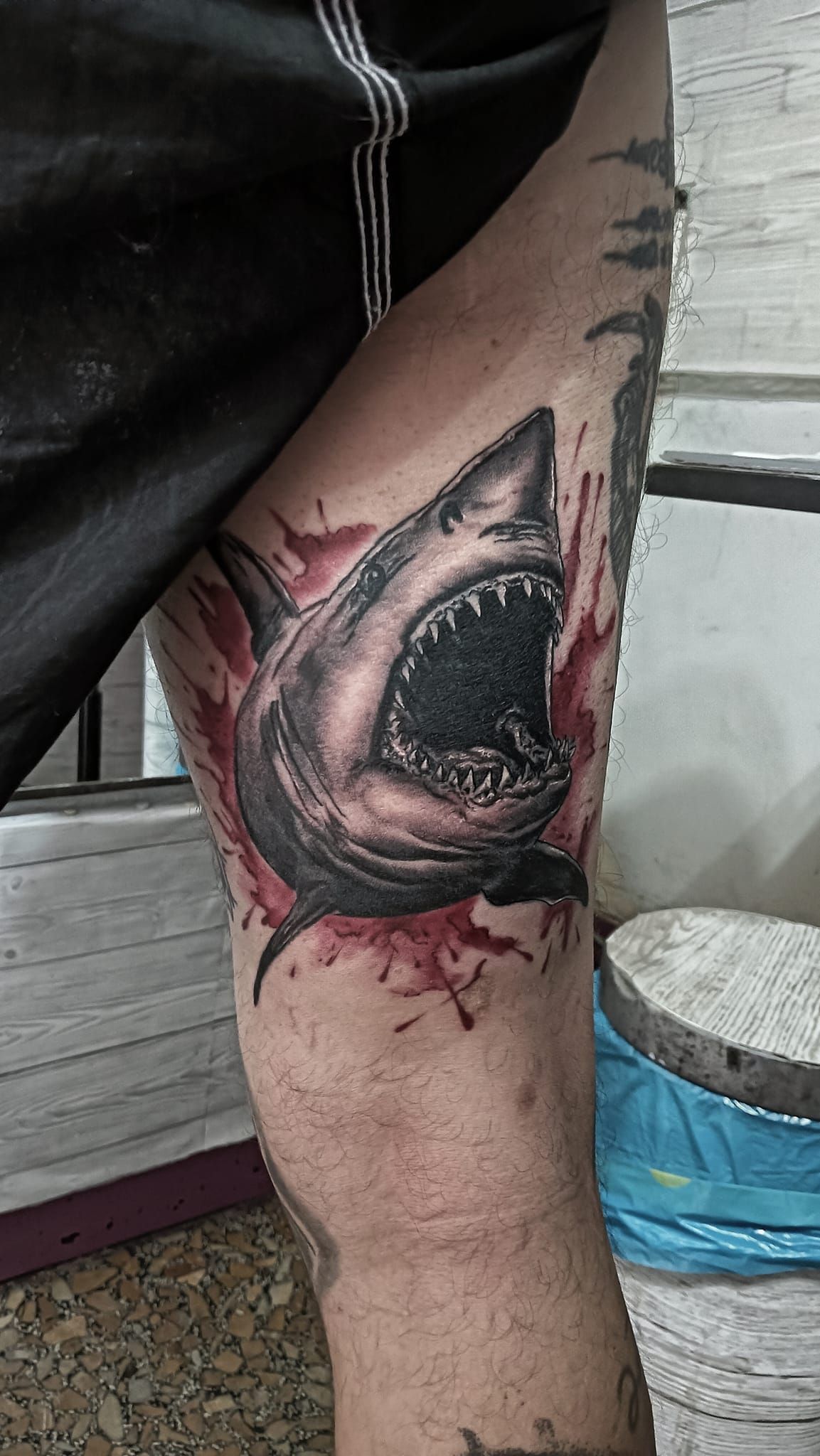 Tatuaggio di uno squalo con la bocca aperta e tracce di sangue sulla gamba di una persona.