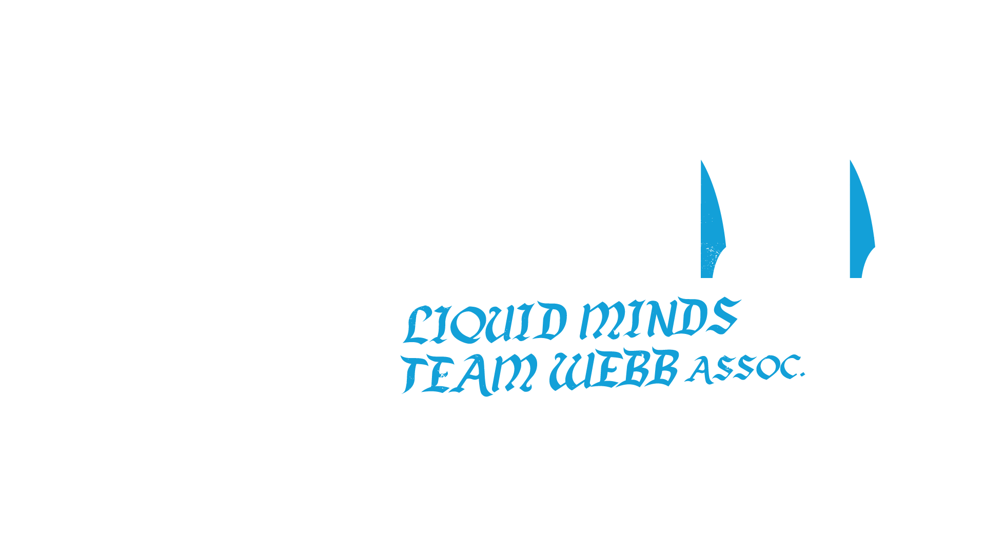 The logo for liquid minds team web association is blue and white.