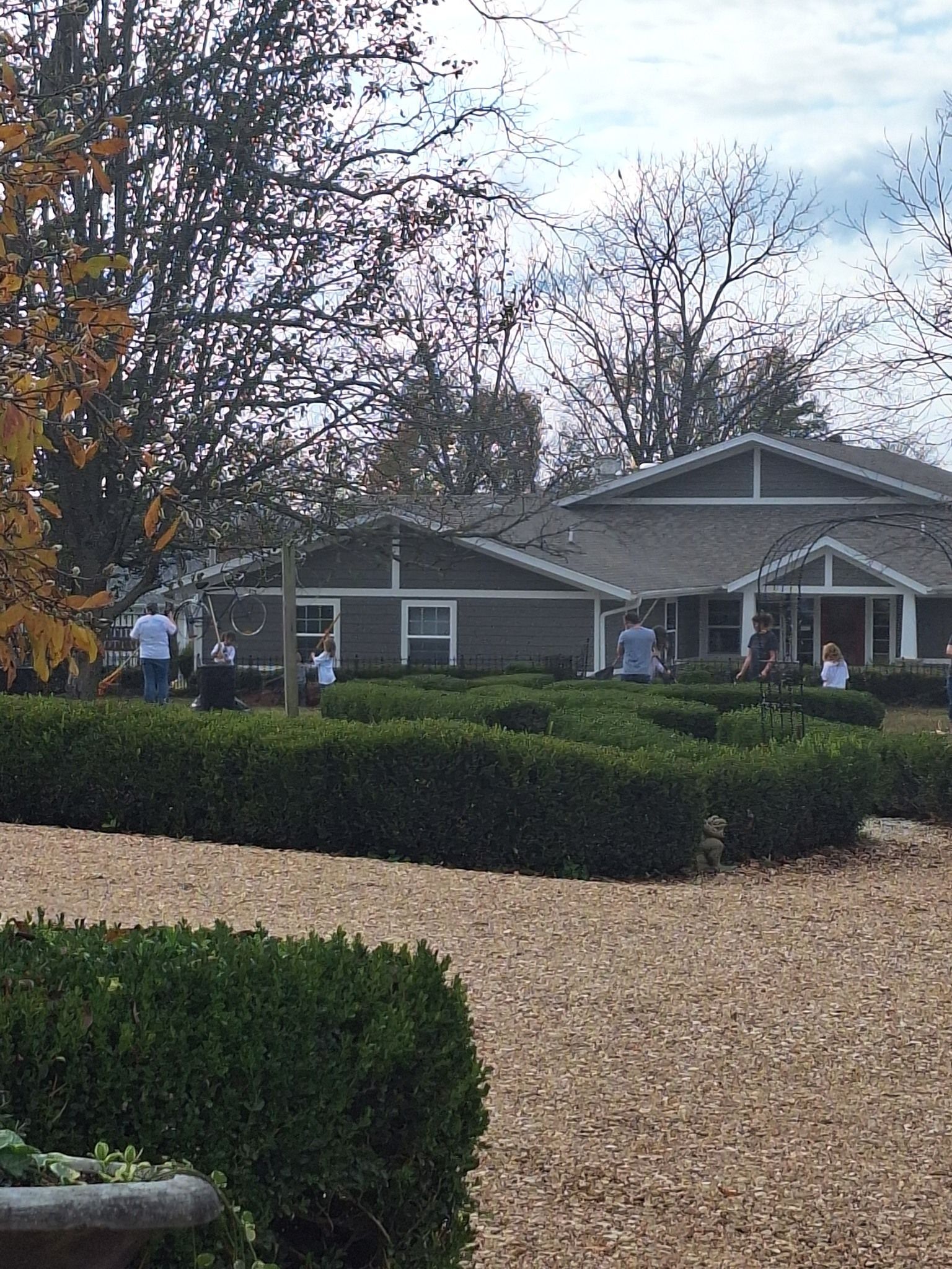 A house with a lot of bushes in front of it