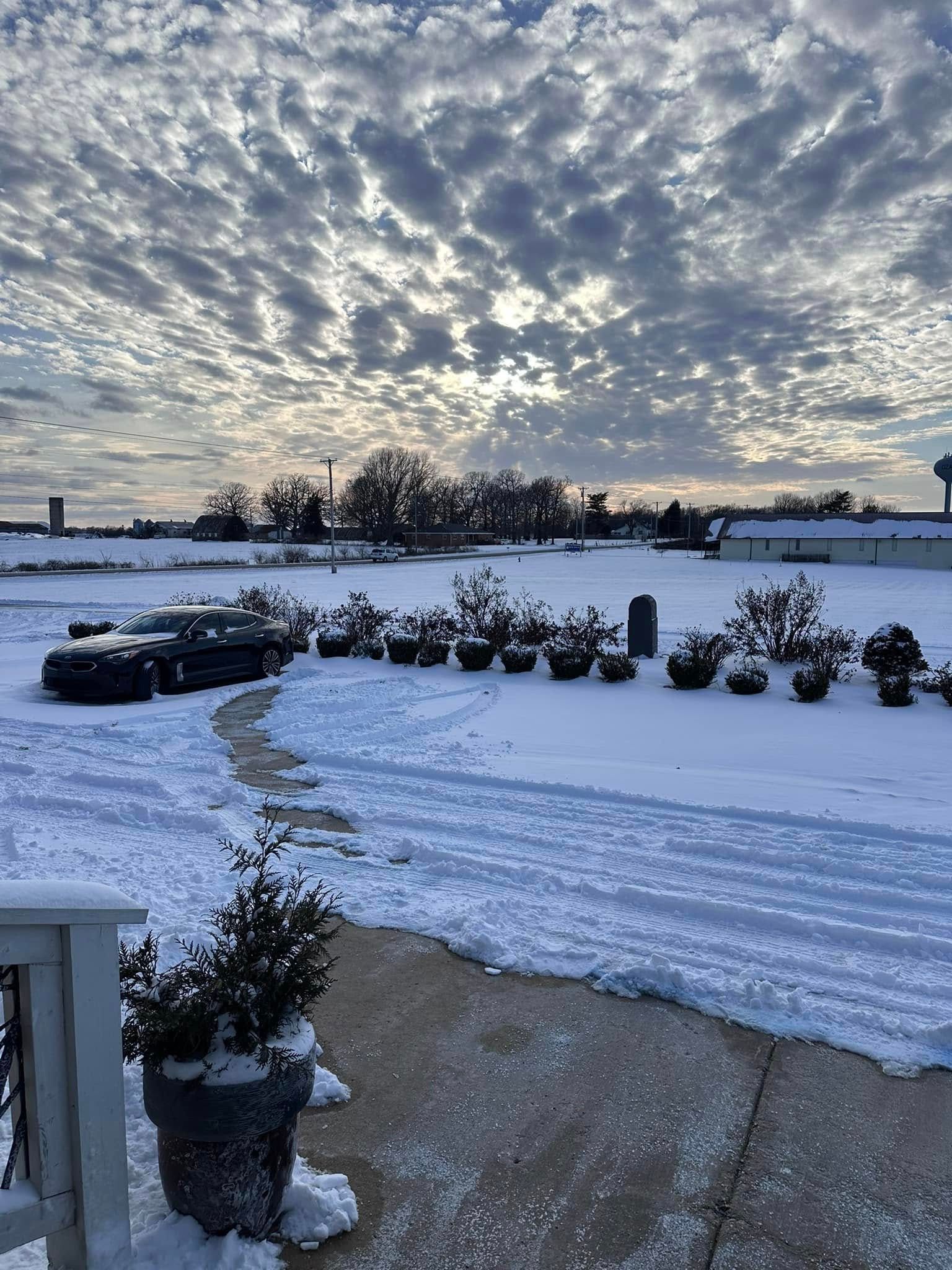 A snowy driveway with a row of potted plants in the foreground.