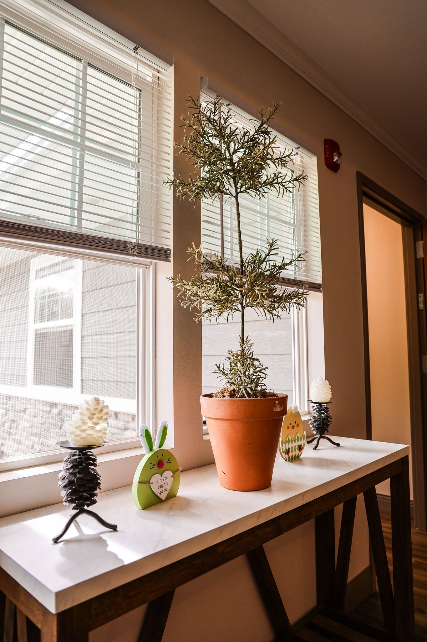 A table with potted plants and candles on it in front of two windows.