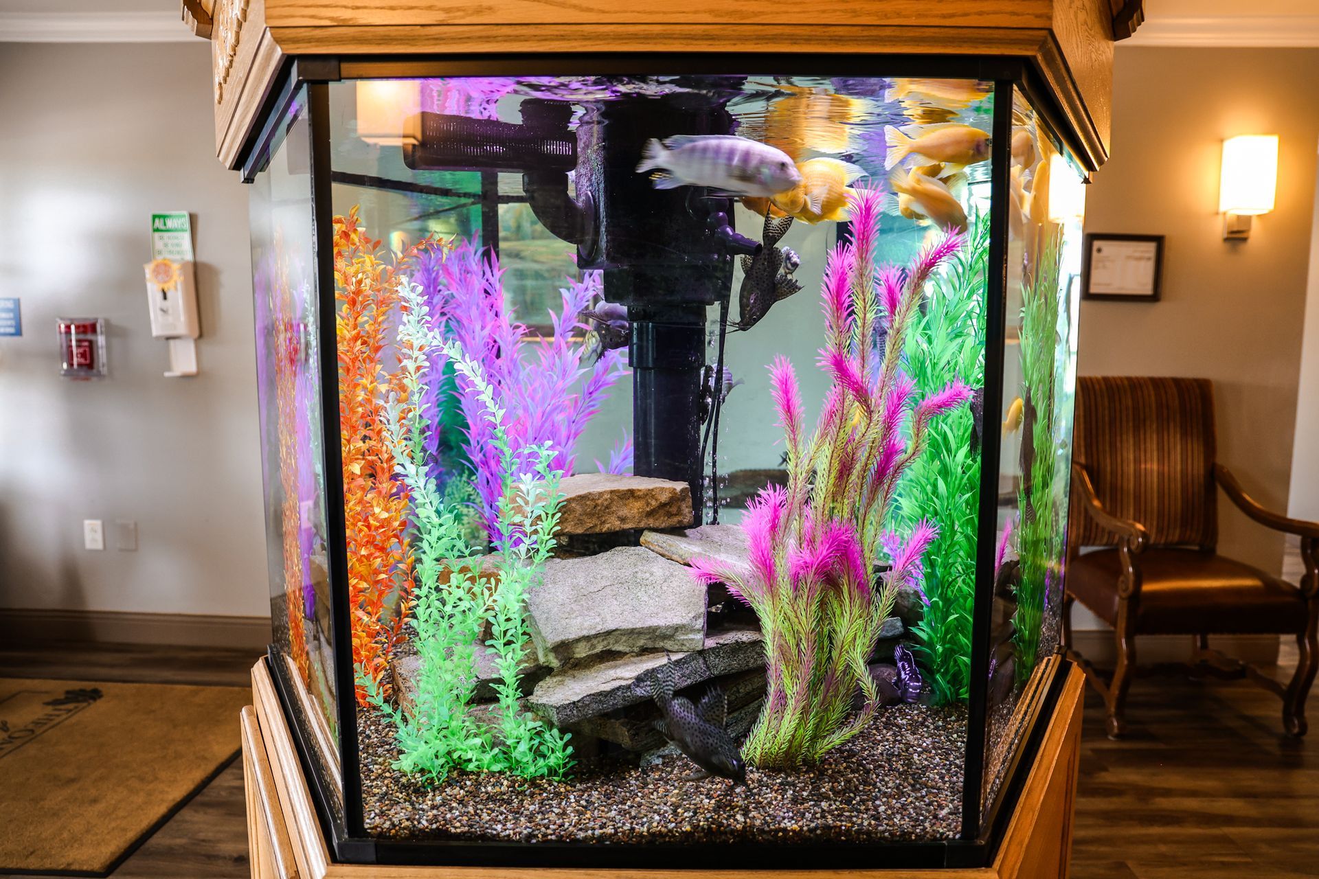 A large fish tank filled with fish and plants in a room.