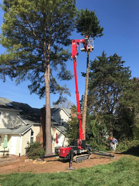 A white truck with a crane attached to it is parked next to a tree