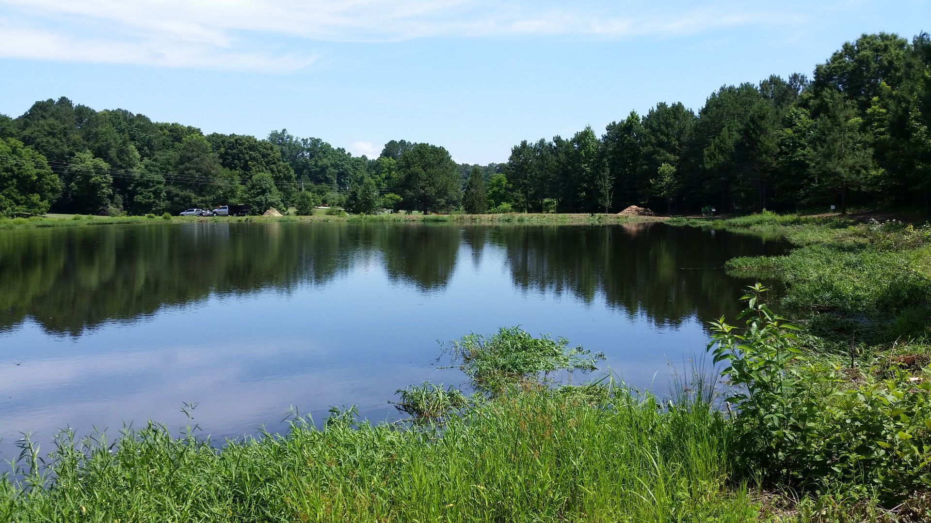 A large body of water surrounded by trees on a sunny day.