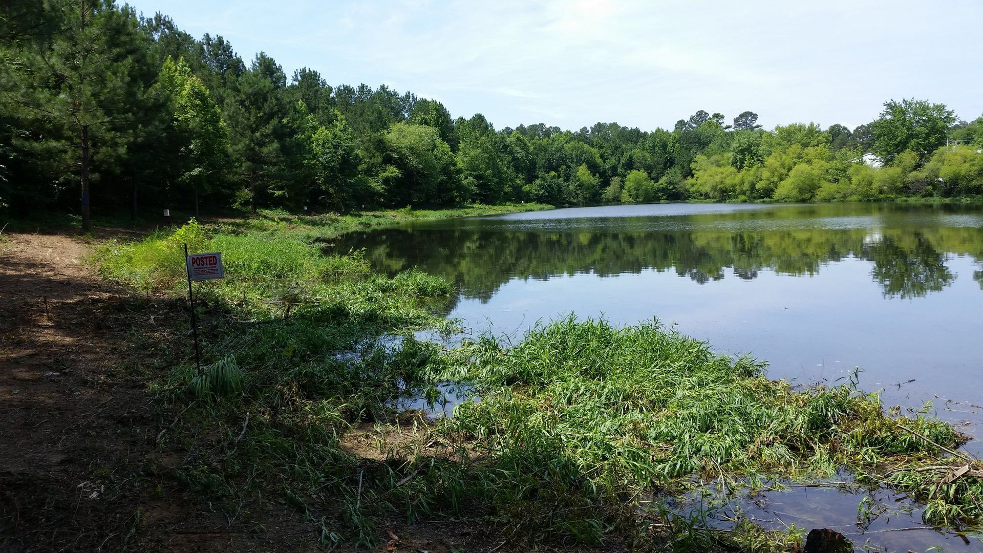 A large body of water surrounded by trees on a sunny day.