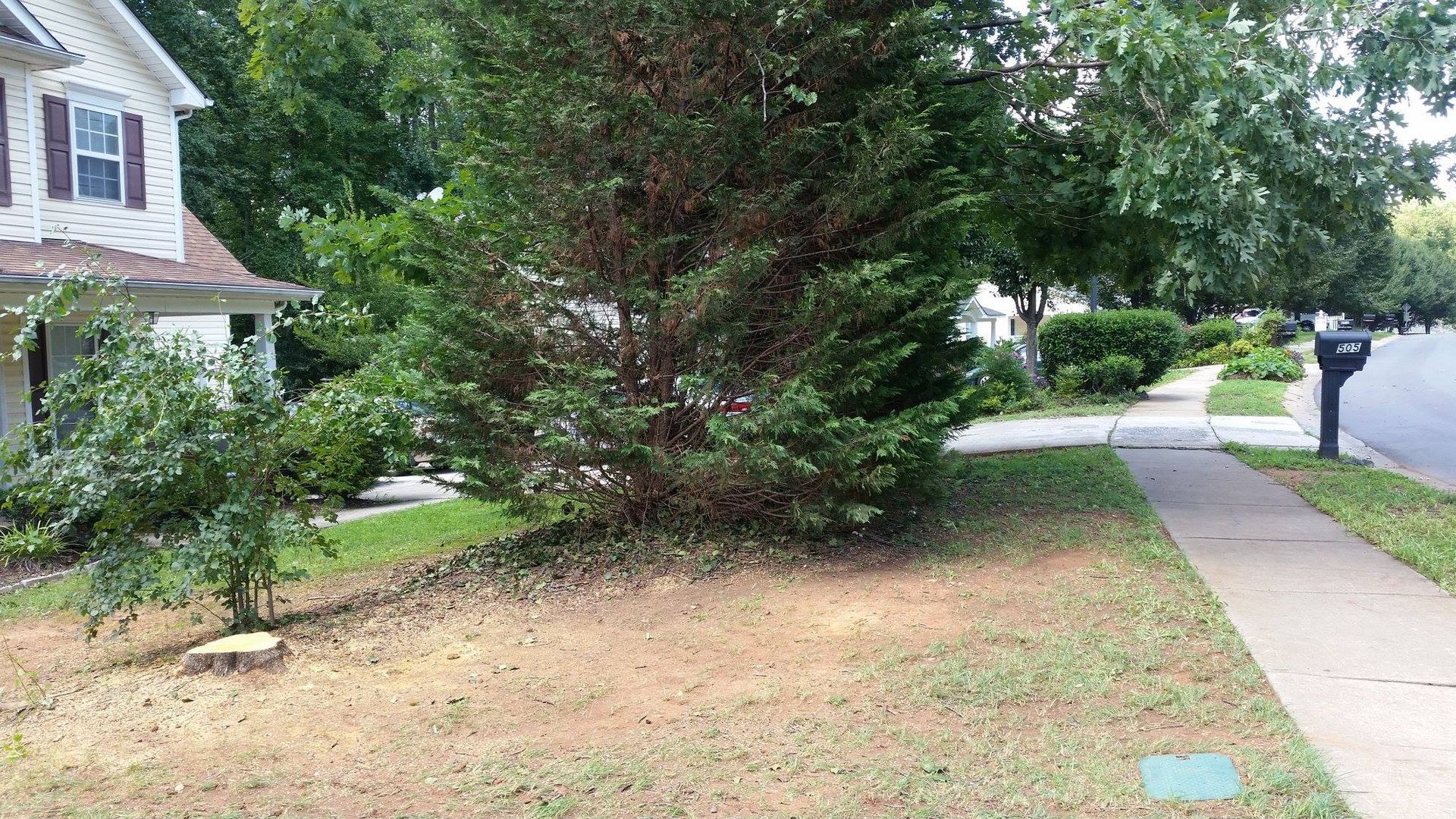 A tree is stump in the middle of a yard next to a sidewalk.