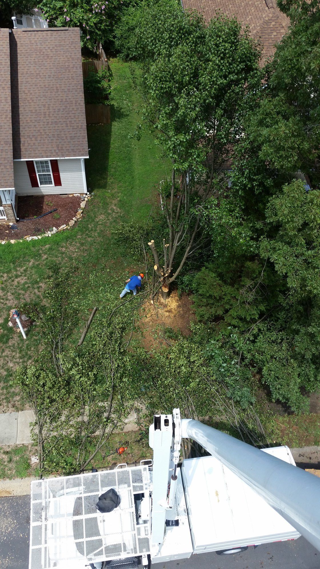 An aerial view of a tree being cut down by a crane in front of a house.