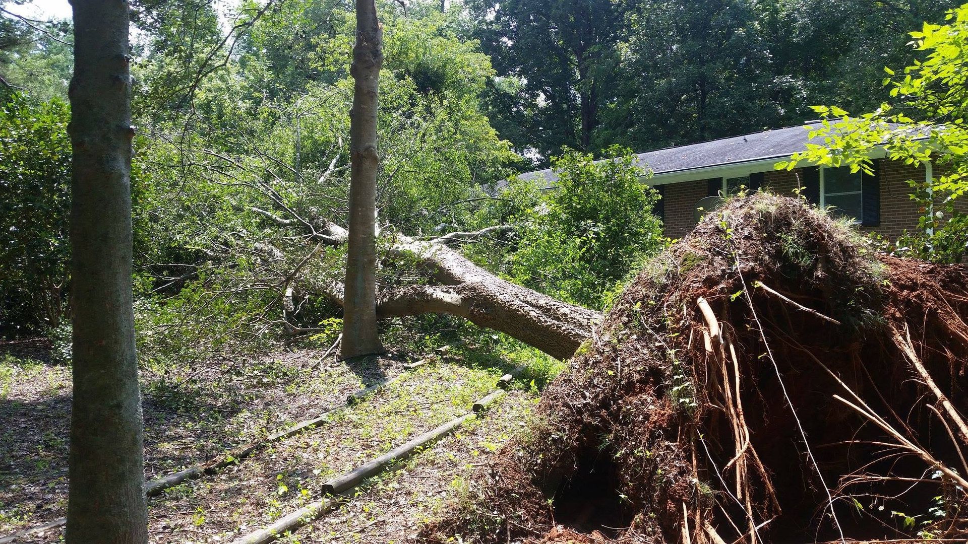 A pile of branches is sitting in front of a house.