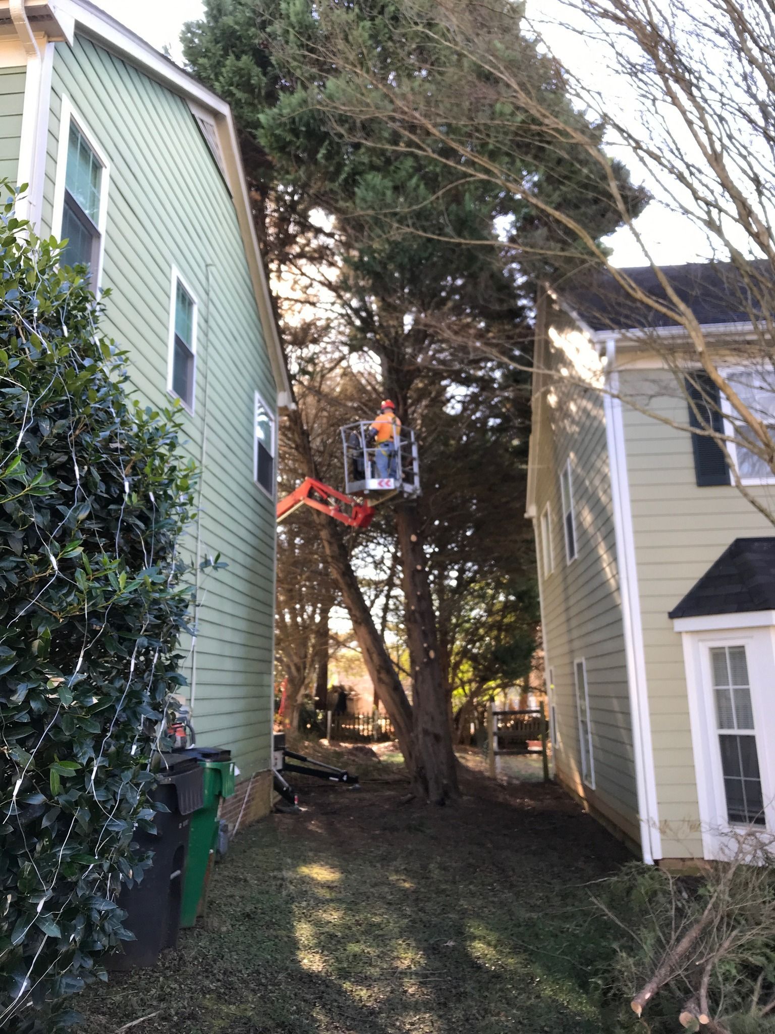A man in a crane is cutting a tree next to a house.