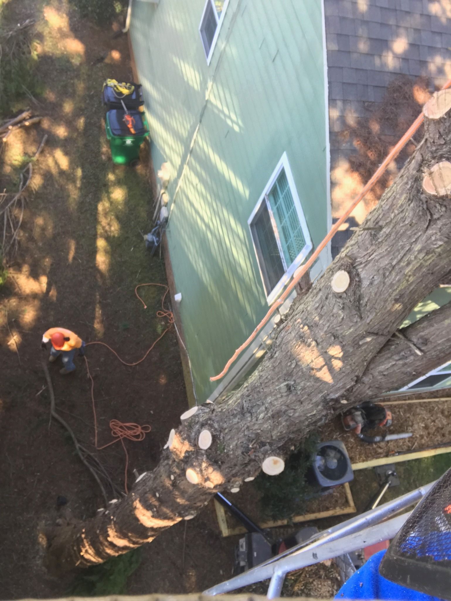 An aerial view of a tree being cut down in front of a house.