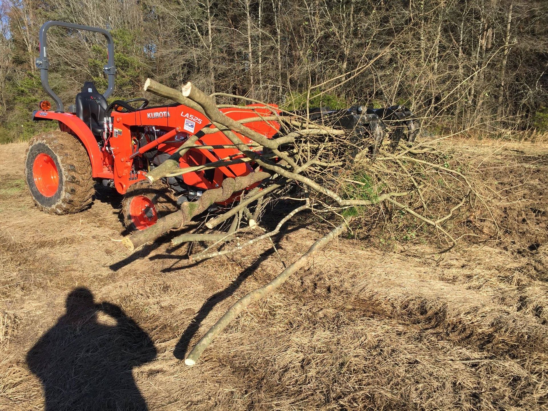 A tractor is carrying a pile of branches in a field.