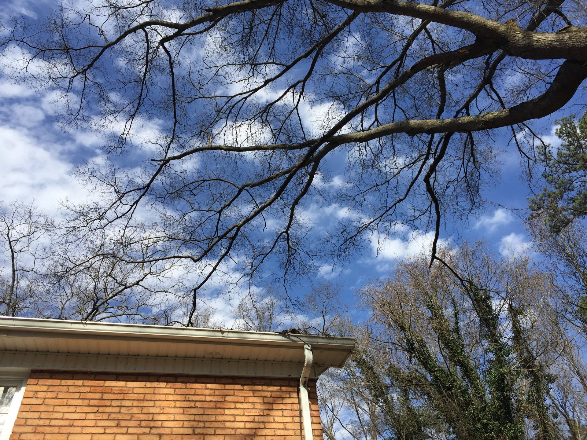 A brick house with a tree in front of it and a blue sky with clouds.