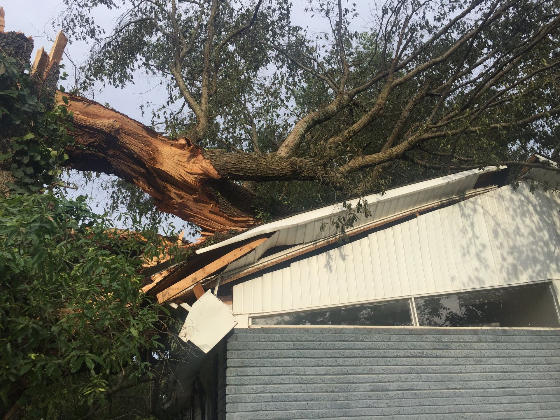 A large tree has fallen on top of a house.