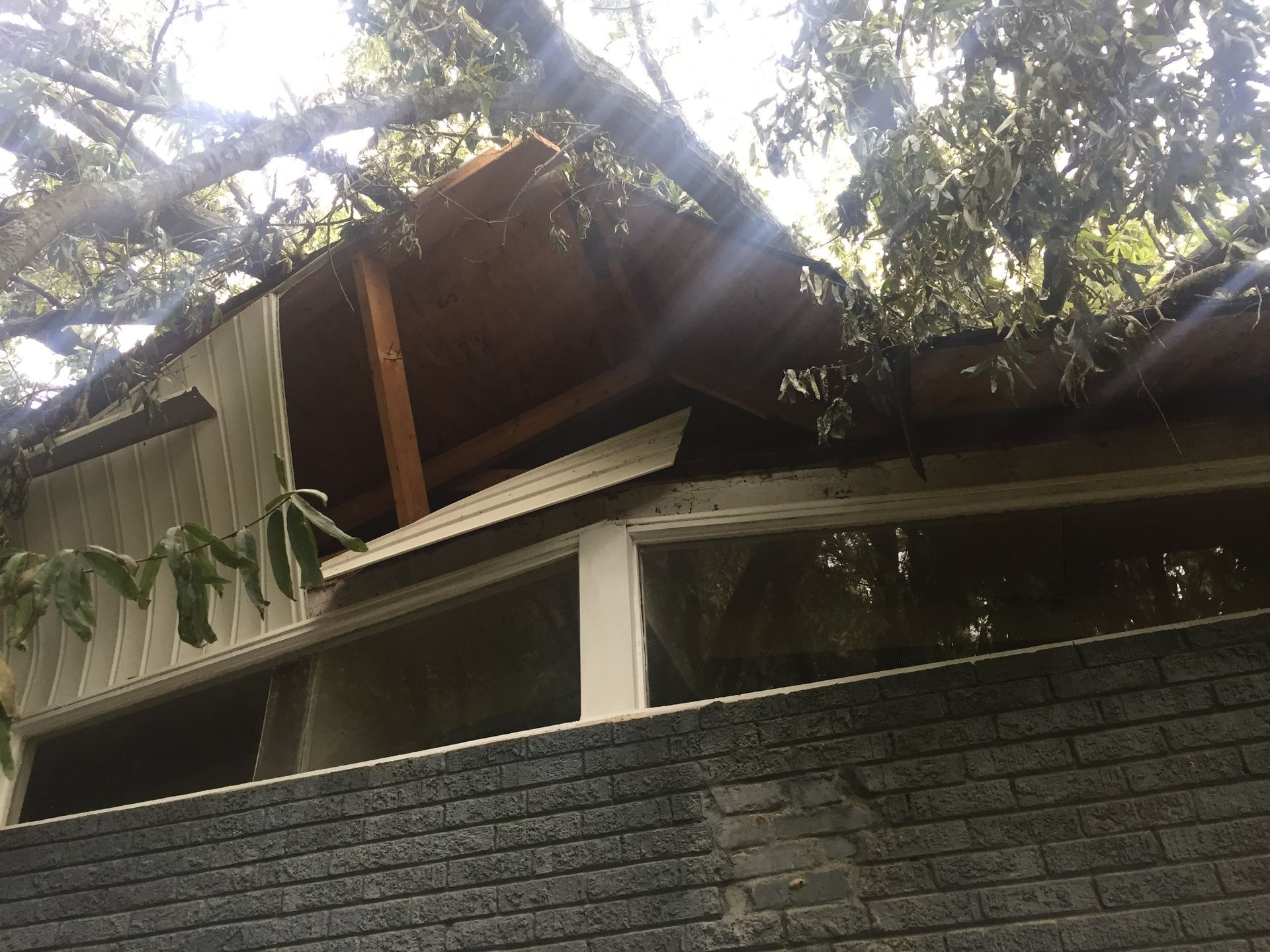 The roof of a house with a tree fallen on it