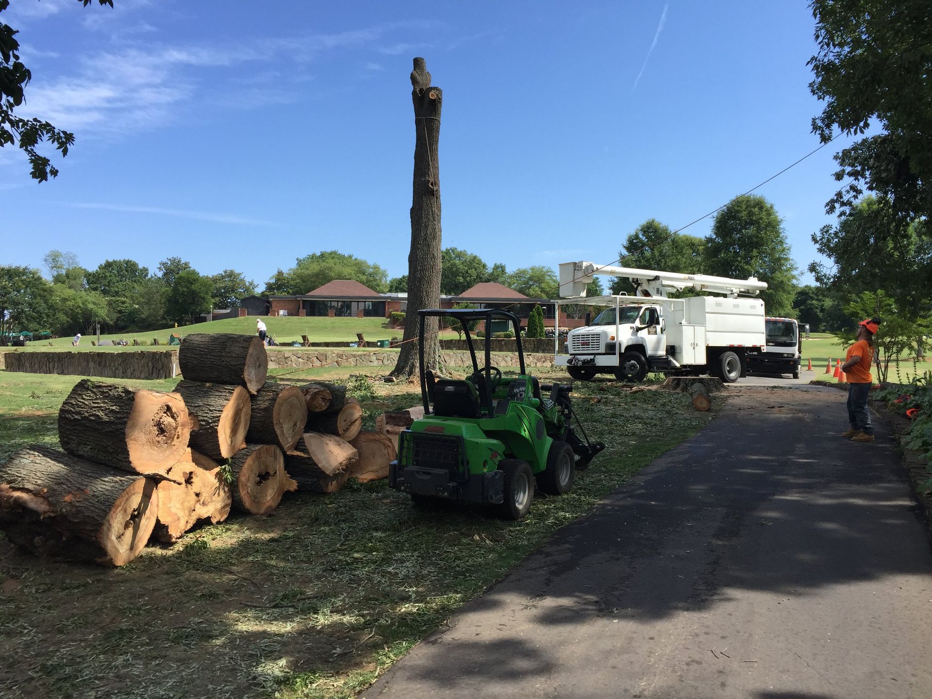 A pile of logs is sitting on the side of a road next to a truck.