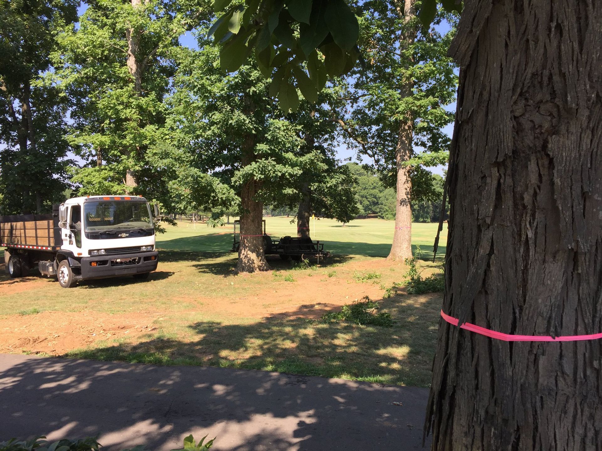 A white truck is parked next to a tree with a pink ribbon around it.