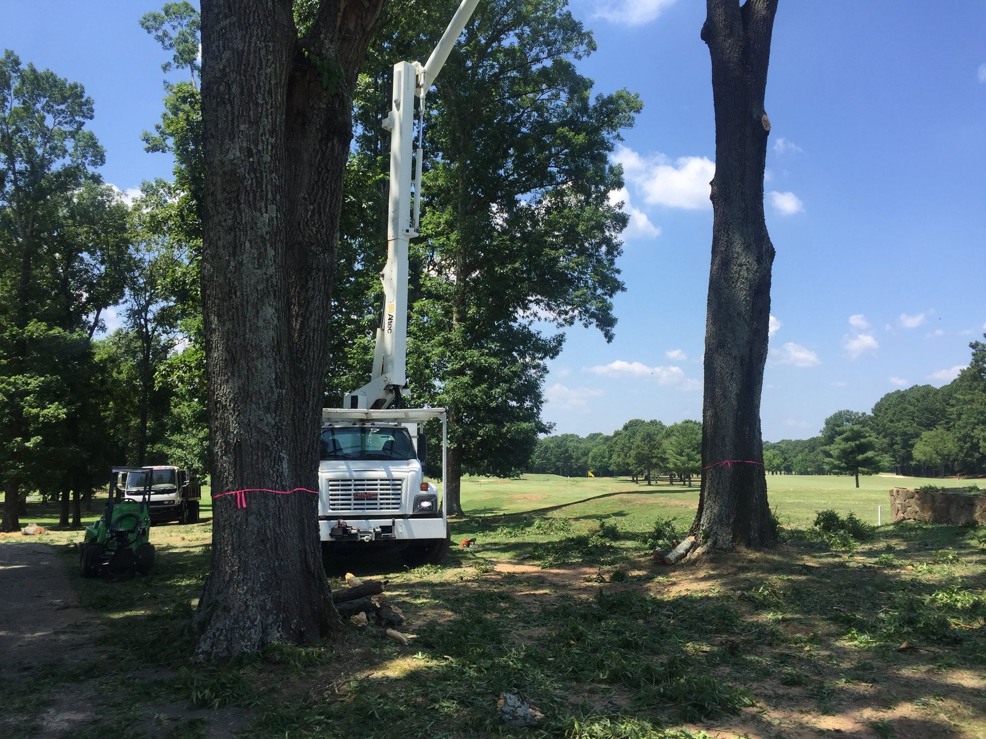 A white truck with a crane attached to it is parked next to a tree