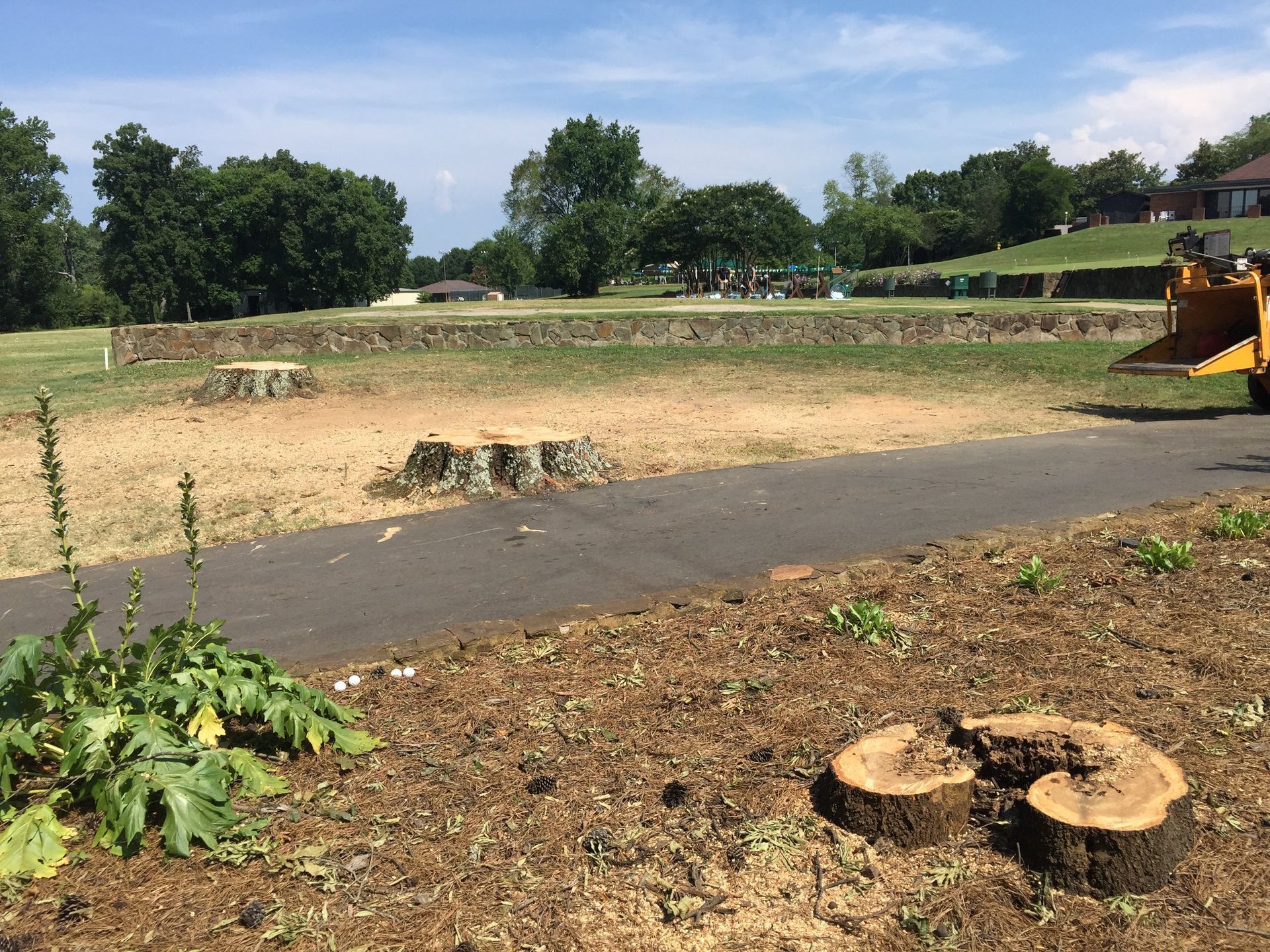 A tractor is cutting down a tree in a park.