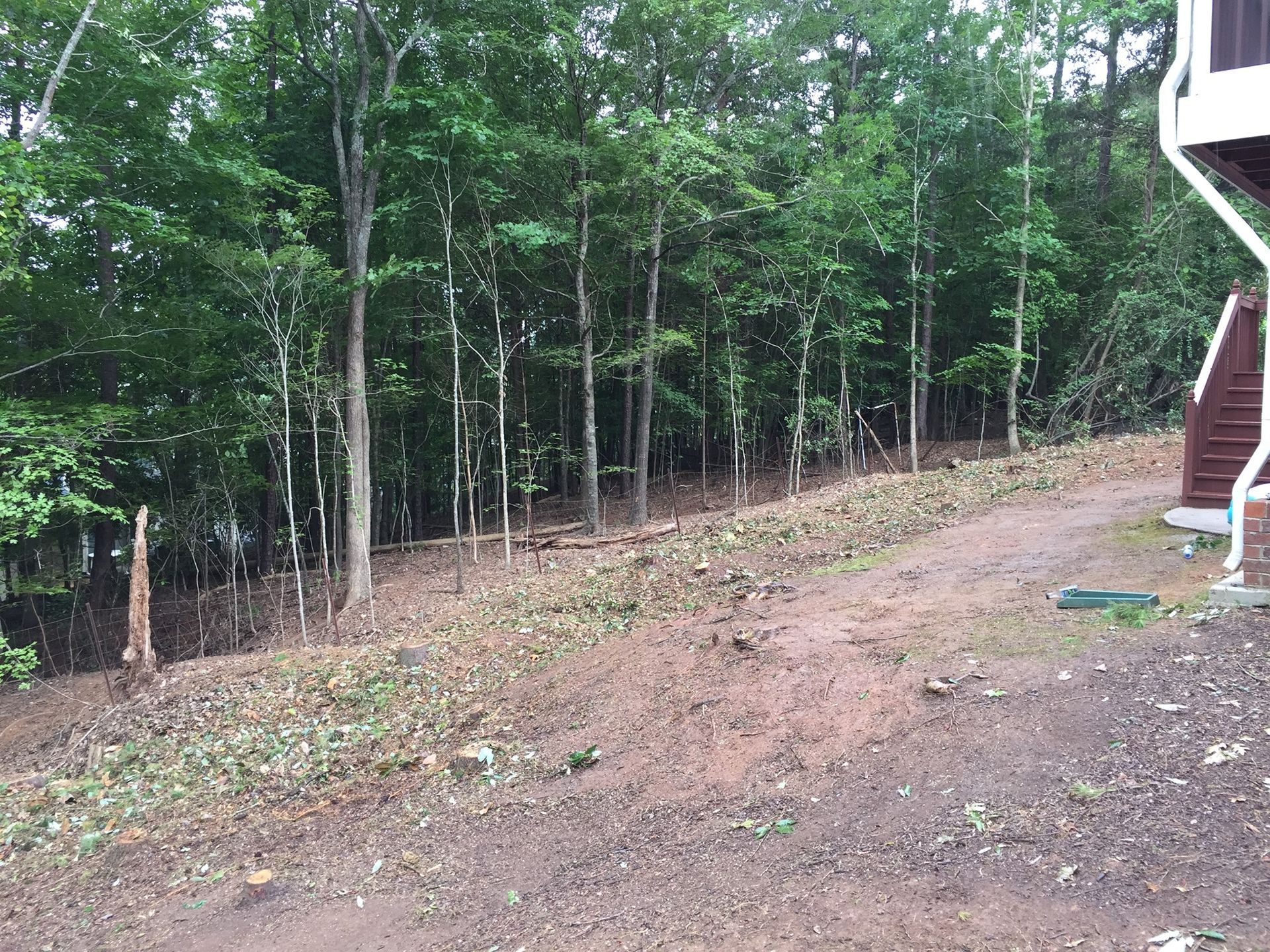 A dirt road leading to a house in the woods