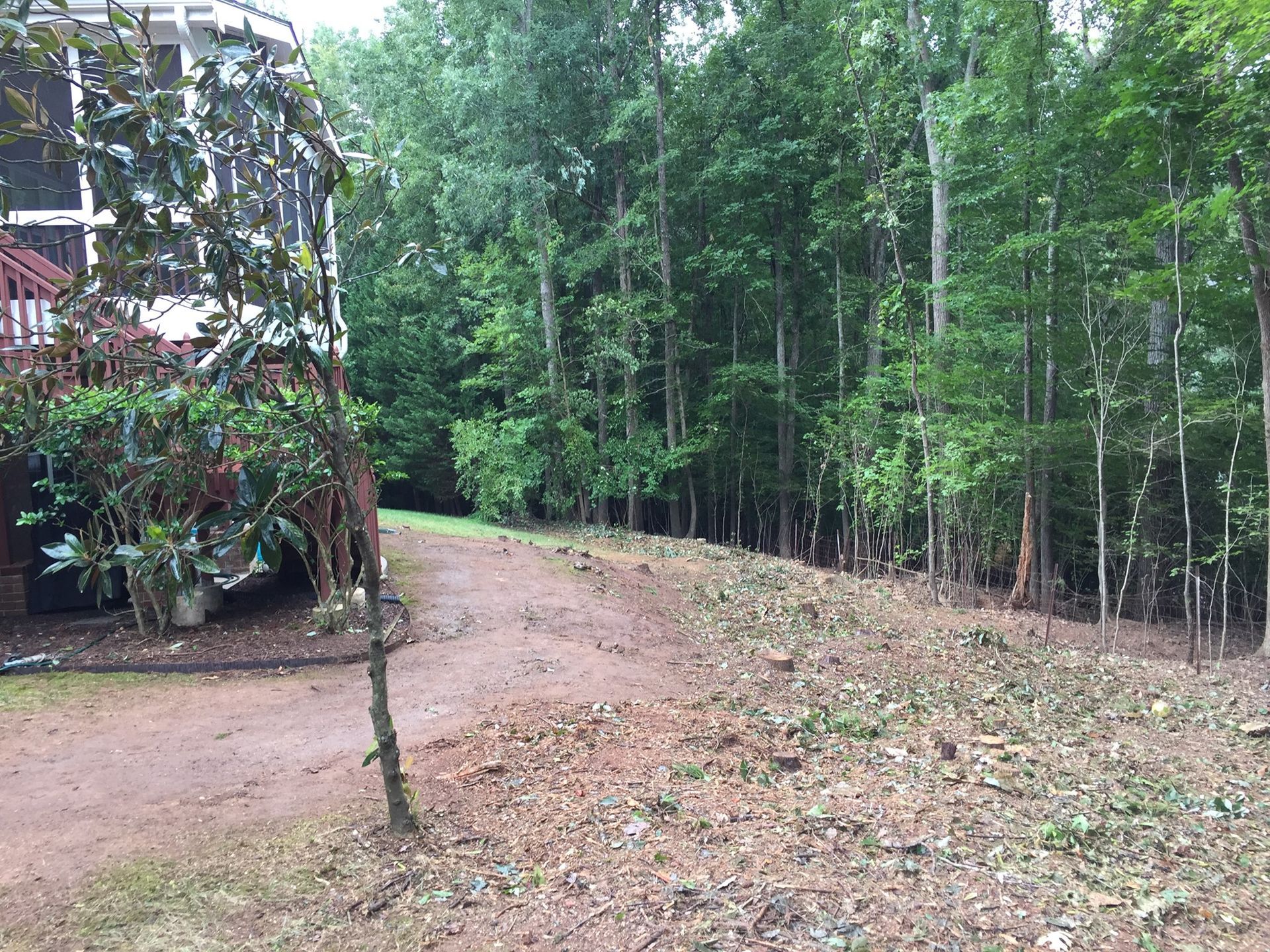 A dirt road leading to a house in the woods.