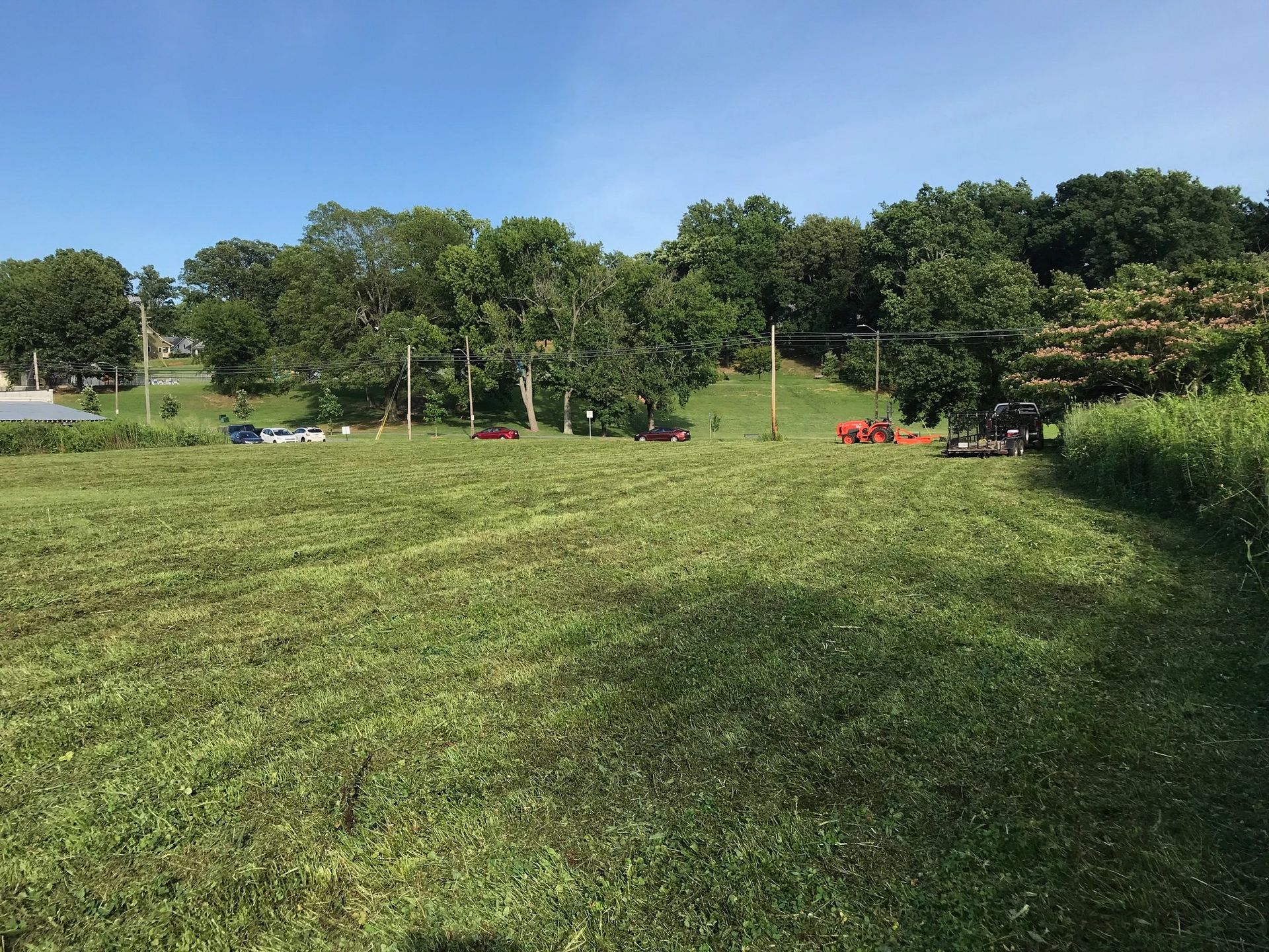 A large lush green field with trees in the background.
