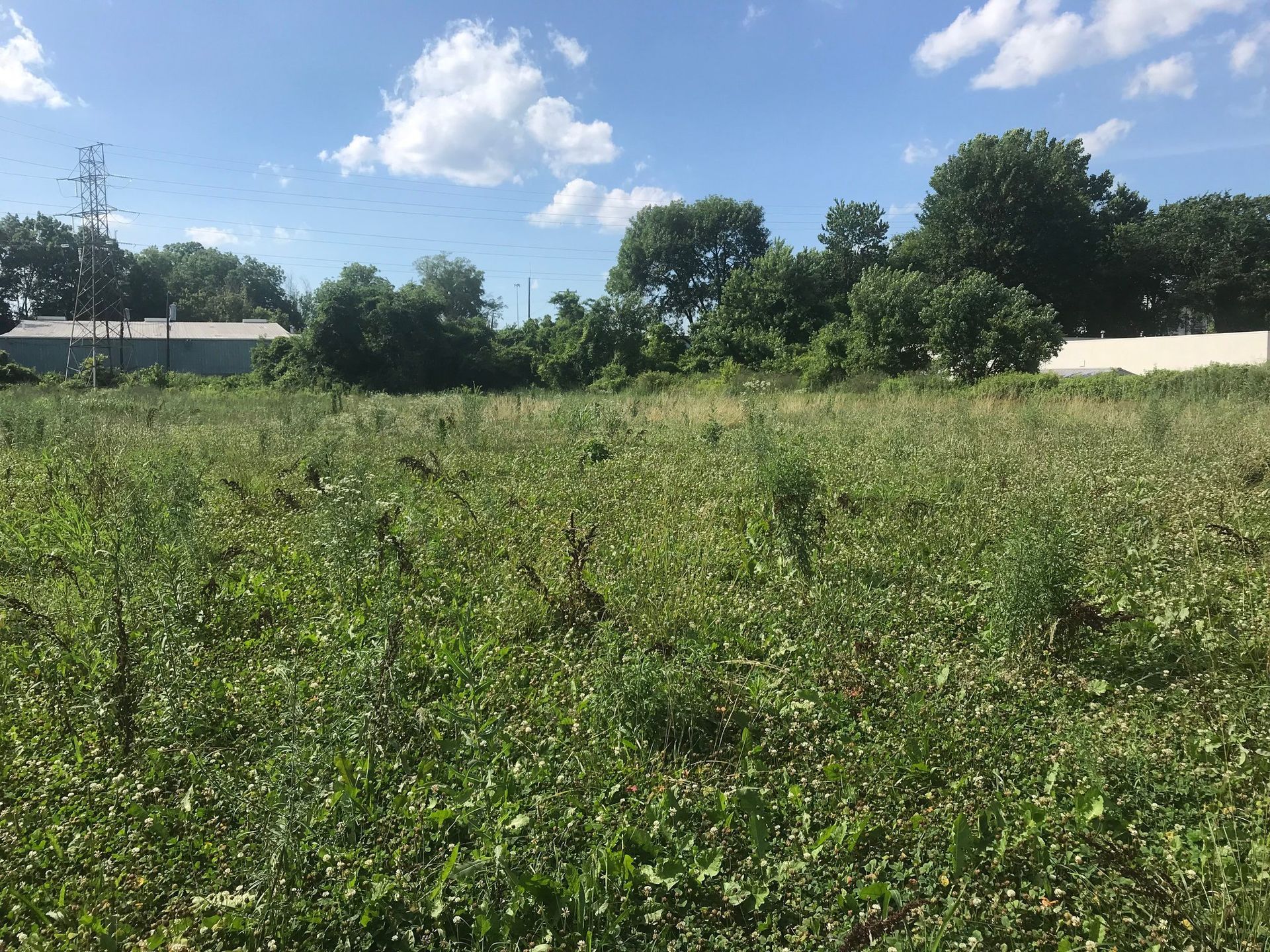 A large grassy field with trees in the background on a sunny day.