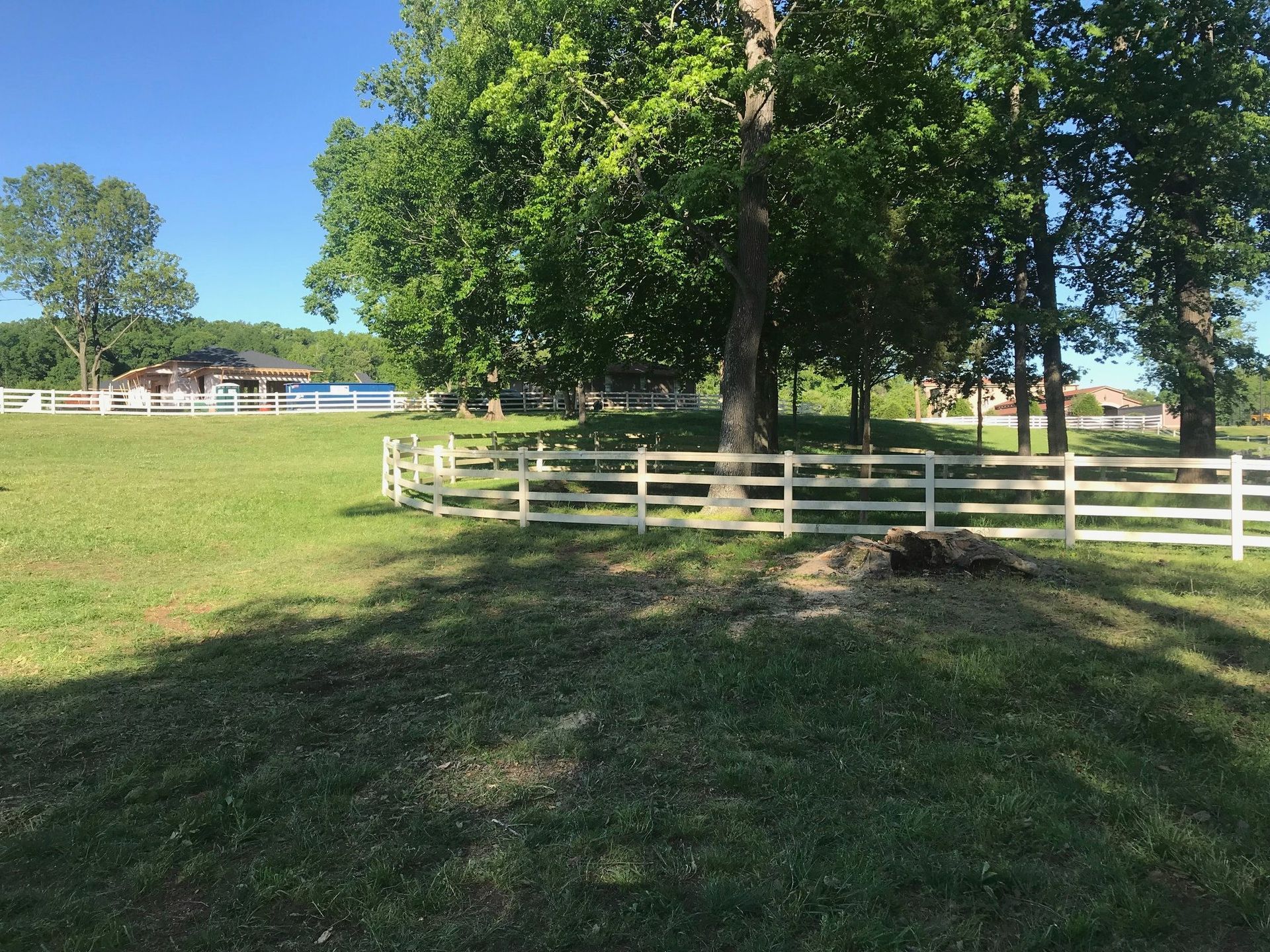 A white fence surrounds a grassy field with trees in the background.