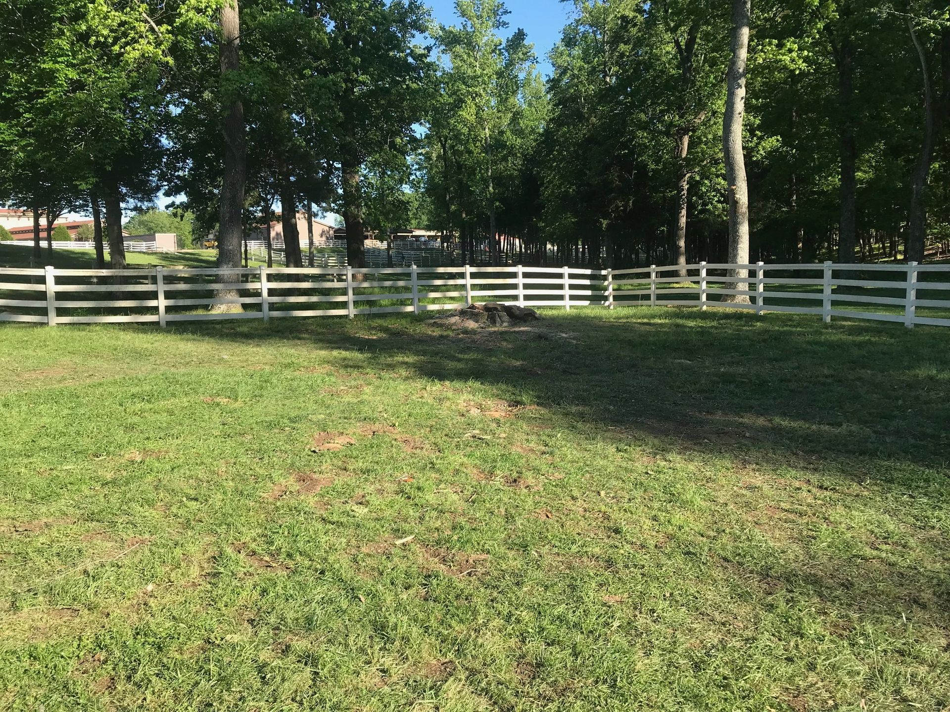 A white fence surrounds a grassy field with trees in the background.
