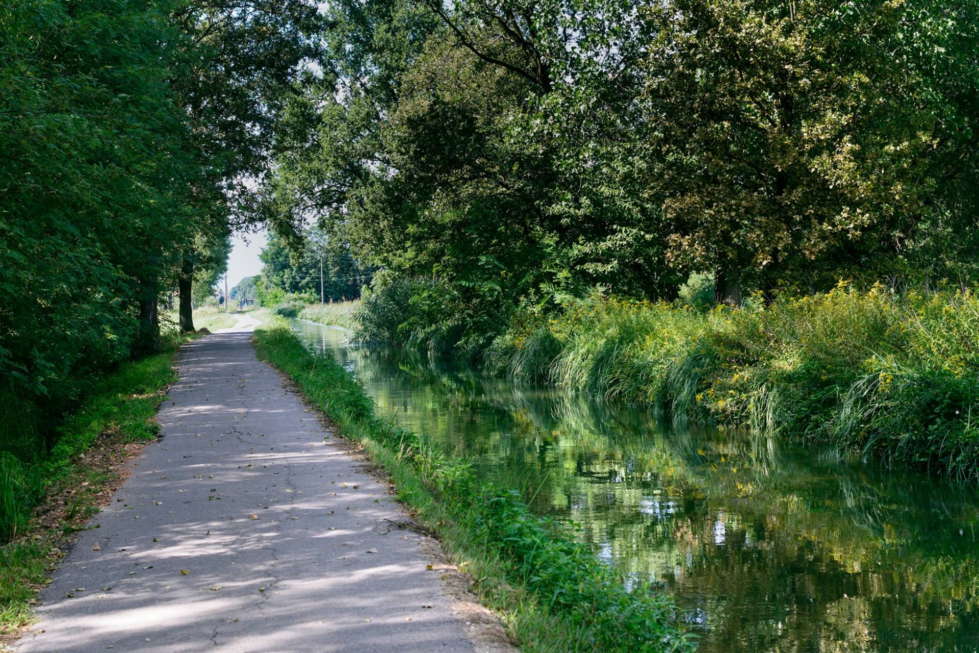 Bonifiche ambientali