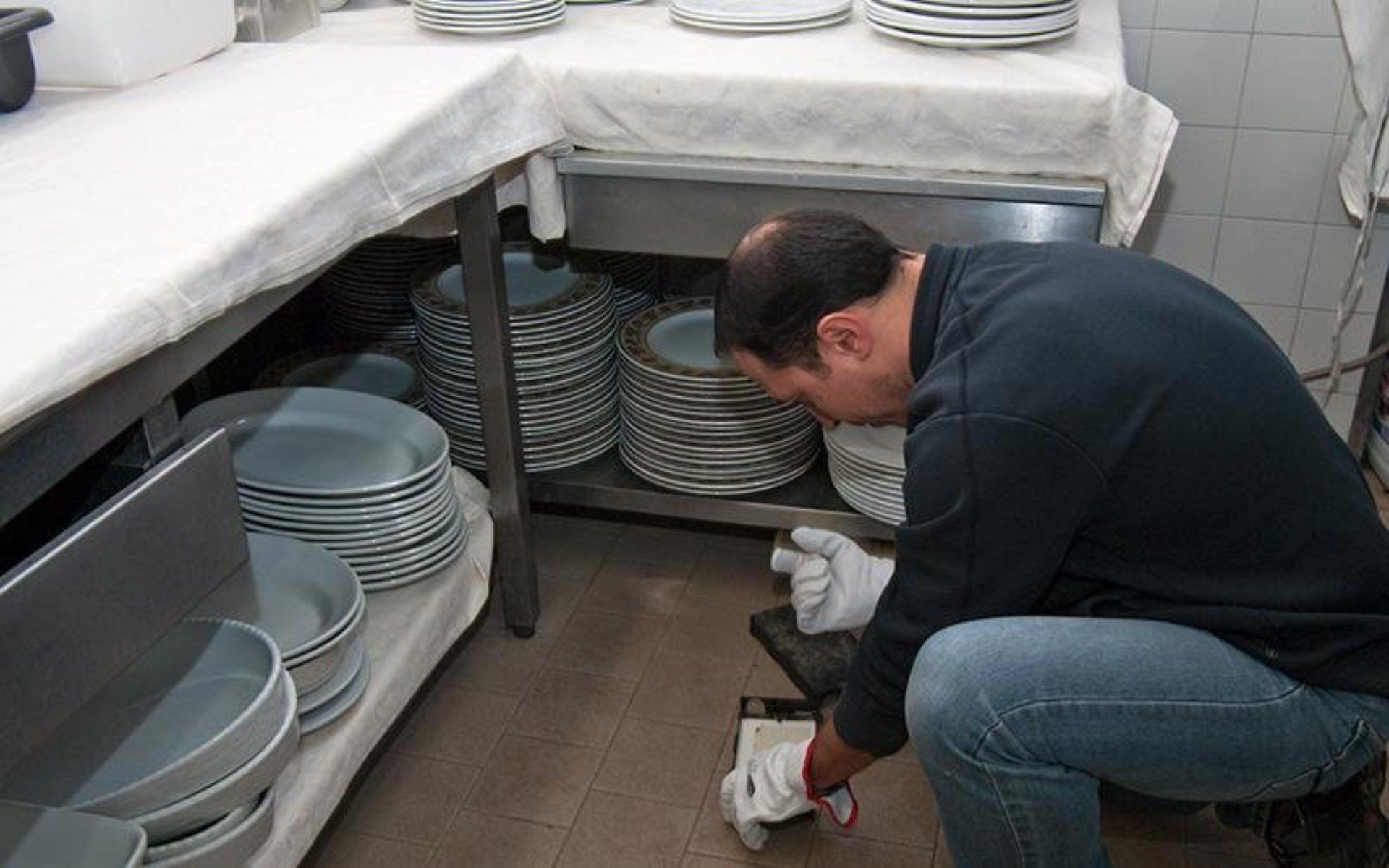 tecnico per la disinfestazione a Imola