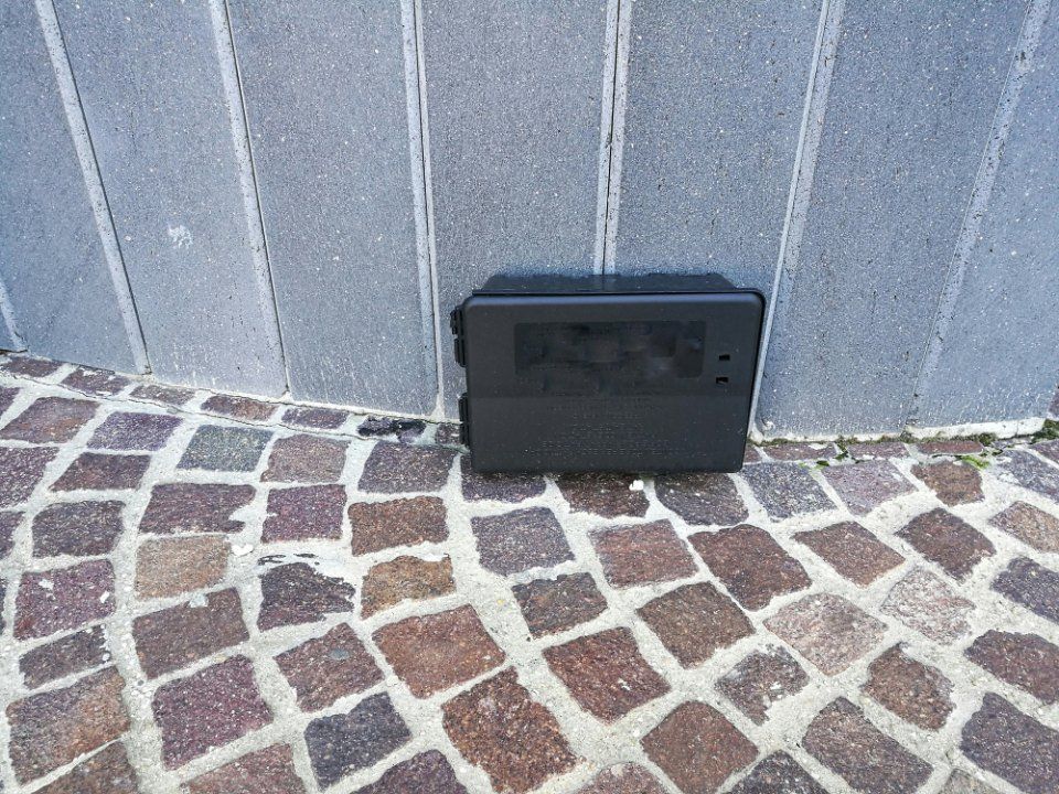 servizio di derattizzazione a Imola