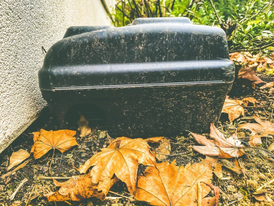 gabbia per servizi di derattizzazione a Imola