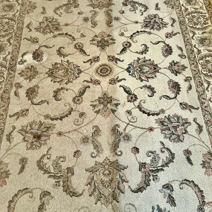 A rug with a floral pattern on it is being cleaned.