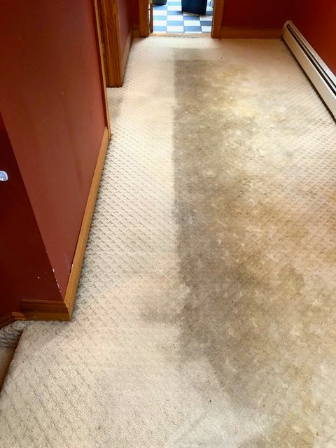 before classic carpet cleaning - new windsor, ny
