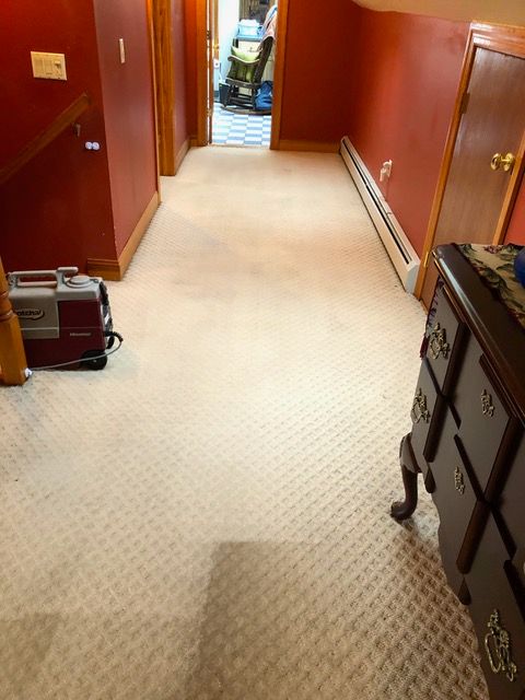 after classic carpet cleaning - new windsor, ny