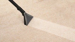 A person is cleaning a carpet with a vacuum cleaner.