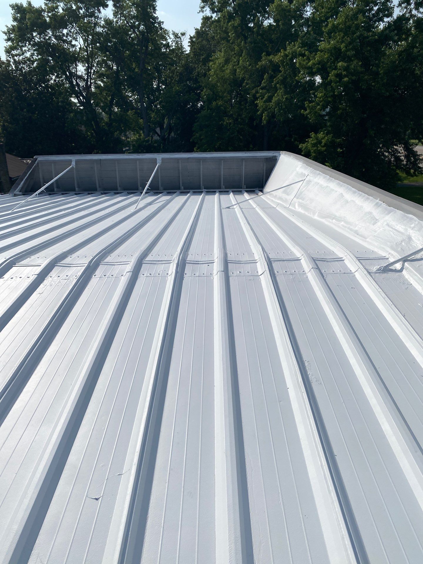 A close up of a white metal roof with trees in the background.