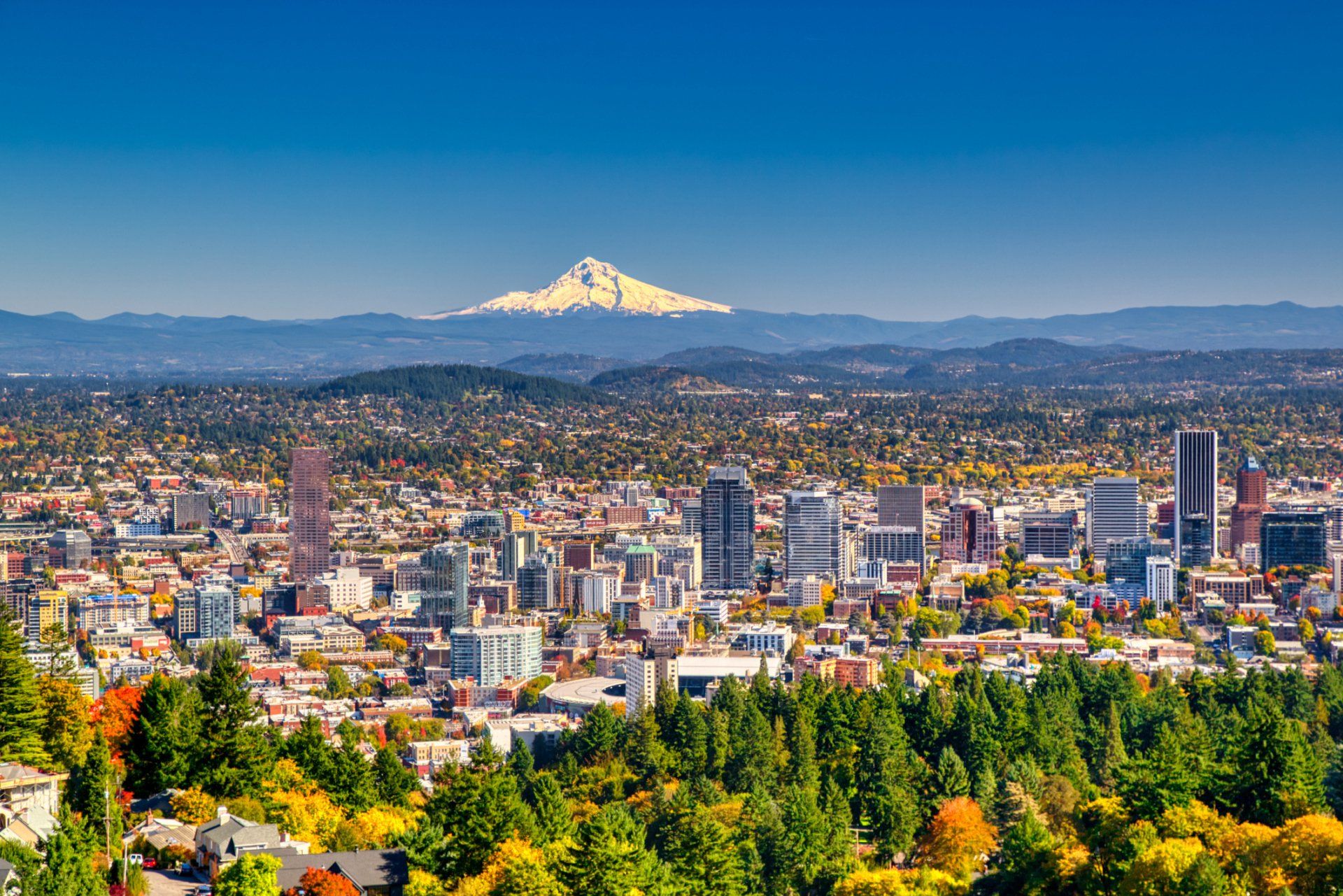 Home American Property Management in Portland OR / Experienced and Home American Property Management in Portland OR / Experienced and