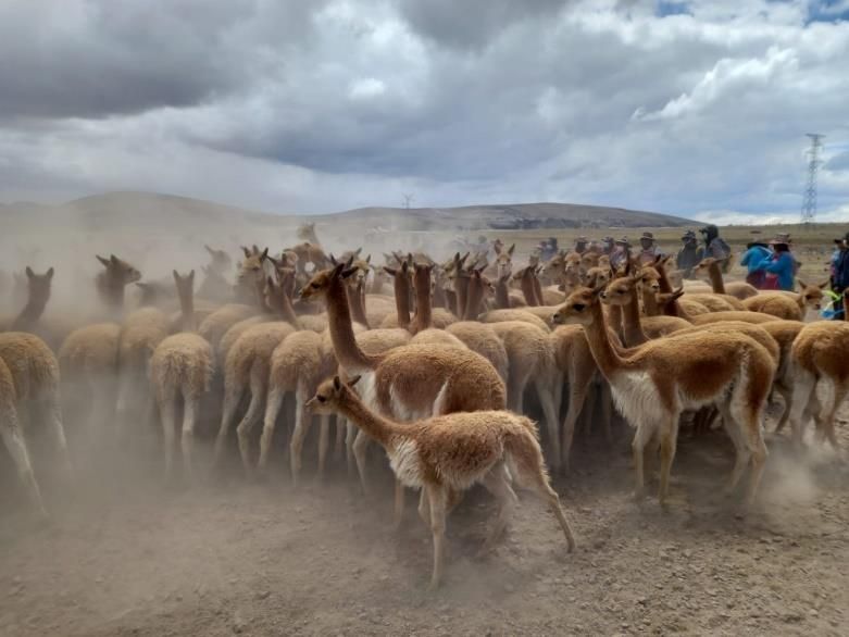 Servicios Múltiples JHC