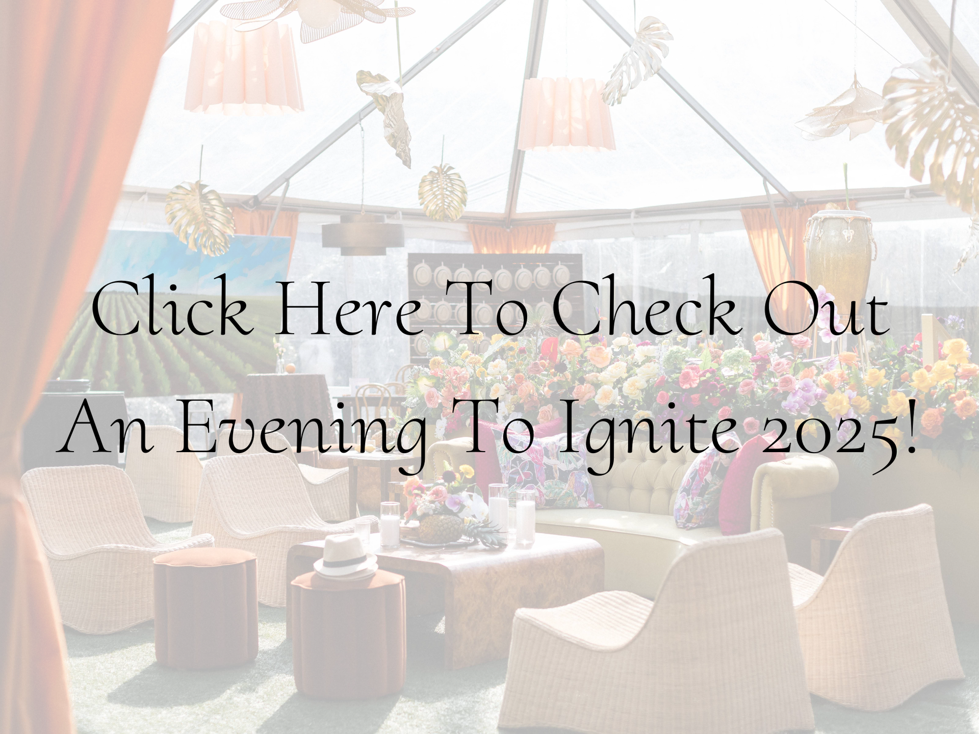 An Evening to Ignite 2023 at Merrimon-Wynne in Raleigh, NC benefitting Neighbor To Neighbor
