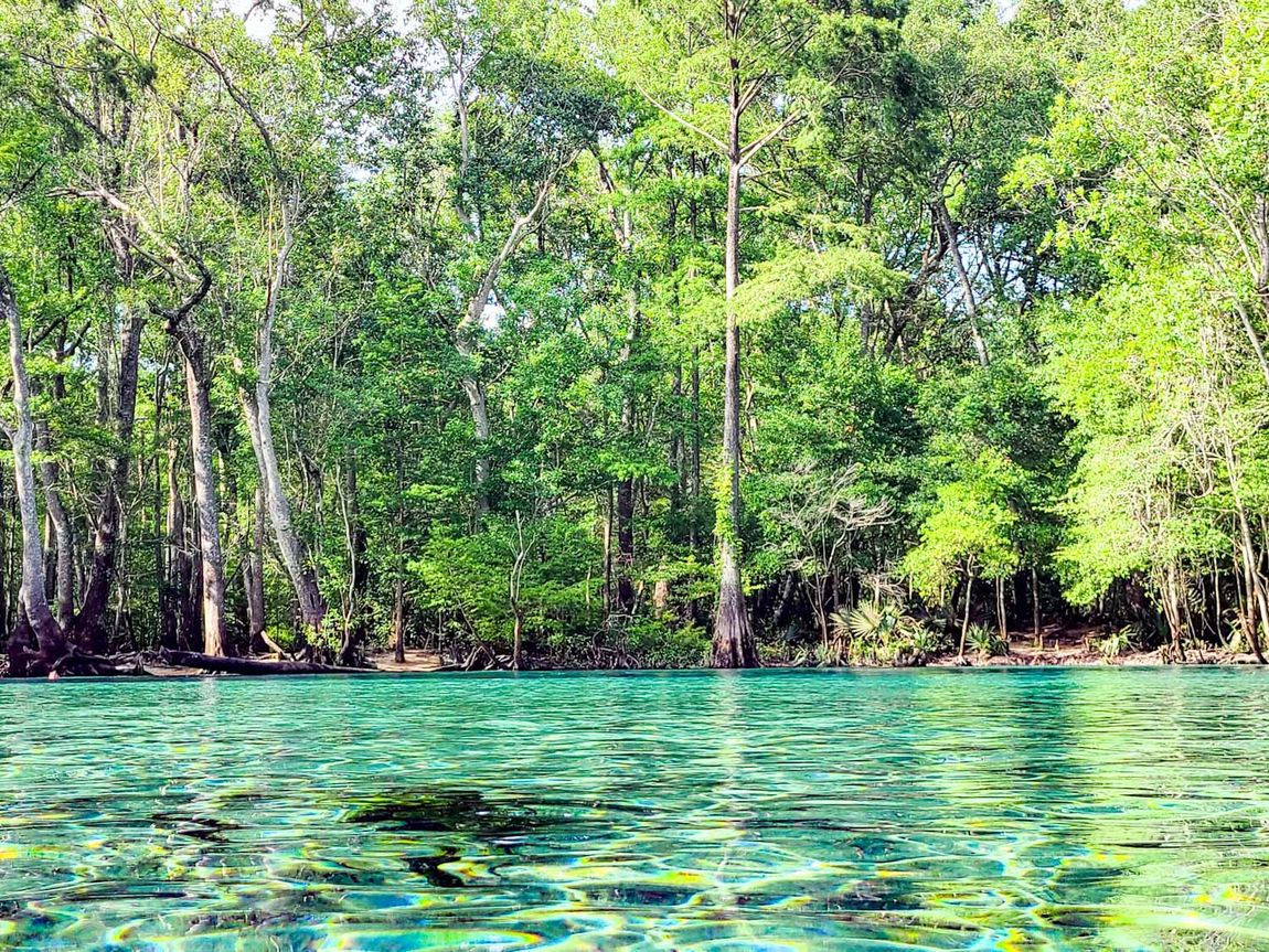 View Our Gallery | Vernon, FL| Canoe Adventures